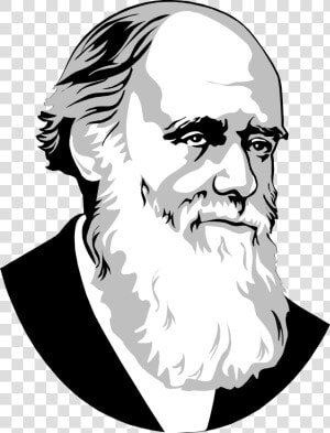 Clip Art Big Image Png   Charles Darwin Simple Drawing  Transparent Png