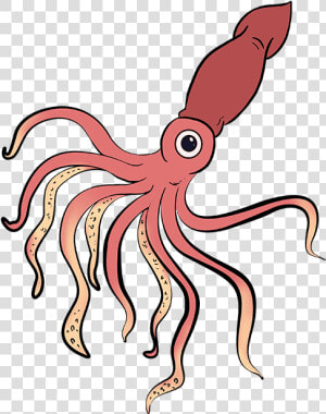 How To Draw Squid   Giant Squid Drawing Easy  HD Png Download