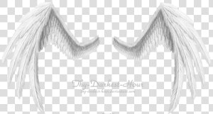 Black And White Angel Wings   Wings Png For Photoshop  Transparent Png