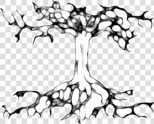 Tree Roots Tree Roots  First Nations  Mother Nature    Drawing  HD Png Download