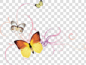 Butterfly Png   Butterfly Floral Png  Transparent Png