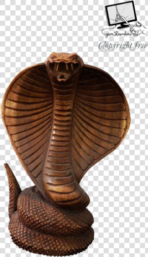 Cobra Png High quality Image   Cobra Pic High Resolution  Transparent Png