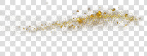  golden  gold  dust  glitter  magic   Macro Photography  HD Png Download