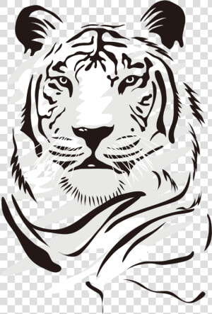 Bengal tiger   Tiger Vector Art Png  Transparent Png