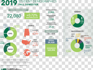 Student Demographics   Student Demographics Dashboard  HD Png Download