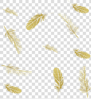 Feather Graphics Ink Portable Network Png File Hd Clipart   Falling Feathers Gold Png  Transparent Png