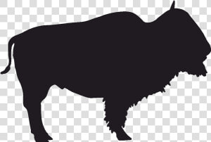 Creamery Brook Bison Buffalo Bills Jackson   Transparent Buffalo Silhouette  HD Png Download