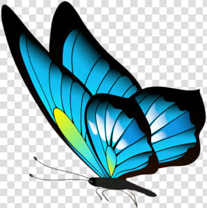 Borboleta Azul E Preta   Cute Bird Drawing Easy  HD Png Download