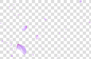 Transparent Cherry Blossom Png   Cherry Blossoms Falling Png  Png Download