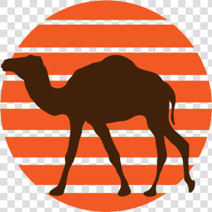 Clipart Walking Camel   American Psychology Association Logo  HD Png Download