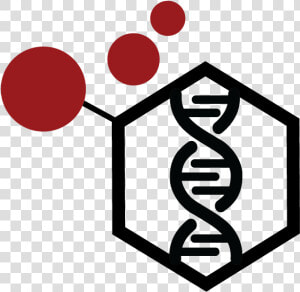 Unravel The Roles Of Secondary Metabolites  Cemist   Metabolites Png  Transparent Png