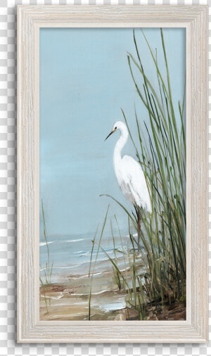 Snowy Egret  HD Png Download