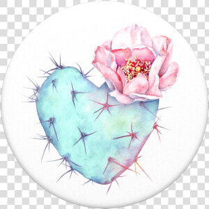 Popsockets Succulent Heart Popgrip  HD Png Download