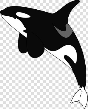 Transparent Killer Whale Clipart   Cartoon Killer Whale Transparent Background  HD Png Download