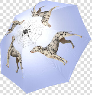 Dalmatian Funny Spider Spots Foldable Umbrella   Giraffe  HD Png Download