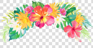 Transparent Hawaiian Flowers Png   Transparent Background Tropical Flowers Png  Png Download