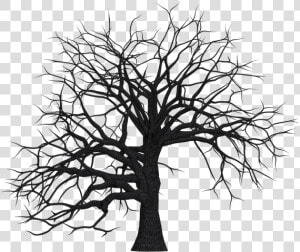 Tree  Digital Art  Isolated  Without Leaves  Leafless   Dead Trees Clip Art  HD Png Download