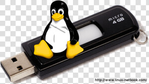 Linux tux Usb Drive   2000 Usb  HD Png Download