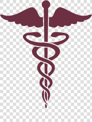 Caduceus As A Symbol Of Medicine Staff Of Hermes Medical   Medical Symbol  HD Png Download