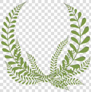  leaves  fern  floral  wreath  freetoedit   Silver Stevie Award 2019  HD Png Download