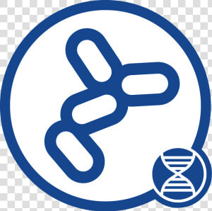 Bacteria Dna Icon   Emblem  HD Png Download