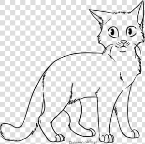 Cat Lineart By Wolfeye   Cat Base Transparent Background  HD Png Download