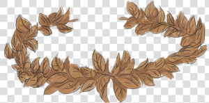 Sta Wikiwikiwiki Image   Roman Leaf Crown Png  Transparent Png