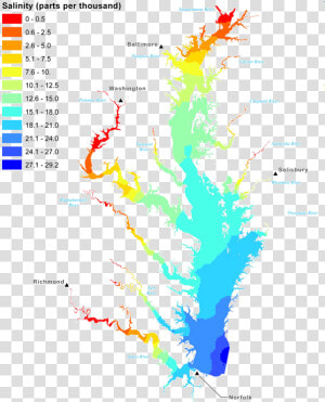 Female Crabs In The Chesapeake Bay Migrate South To   Salinity Map Of The Chesapeake Bay  HD Png Download