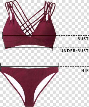 Bikini Measurement  HD Png Download