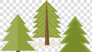 Pine Tree Clipart   Transparent Pine Tree Clipart  HD Png Download