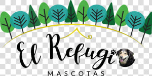 Refugio De Mascotas  HD Png Download