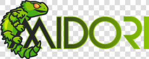 Midori Browser  HD Png Download