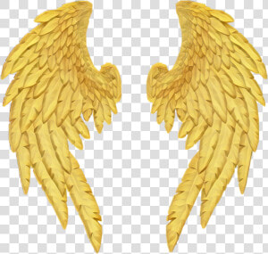  gold  wings  freetoedit   Golden Wings Png  Transparent Png