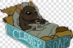  rata  rat  mouse  mousesticker  raton  ratoncito  cansado   Rat  HD Png Download