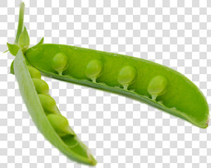 Pea Png Background   Pea Pod Transparent  Png Download