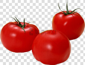 Free Png Download Tomato Png Images Background Png   Tomato  Transparent Png