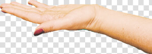  hand  reaching  reachingout  fingers  png  useful   Arm Reaching Out Png  Transparent Png