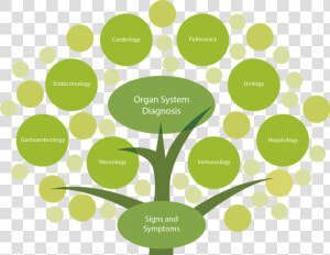 Tree Top   Functional Medicine Tree Pdf  HD Png Download