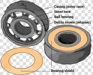 Image Displays Parts Of A Skateboard Bearing  Consisting   Opportunities For Learning  HD Png Download