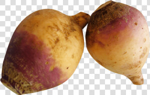 Rutabaga Turnip   Rutabaga Png  Transparent Png