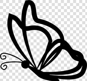 Butterfly With Transparent Wings Outlines From Side   Butterfly Side View Outline  HD Png Download