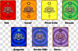 Present   Flor De Lotus Chakras  HD Png Download