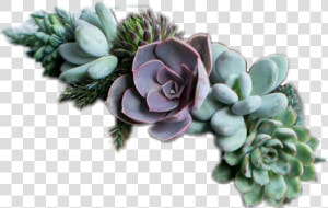 Well Look At That Another Flower Crown   Succulent Jewelry  HD Png Download