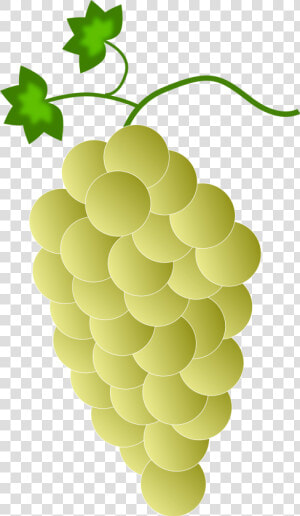 Clipart Yellow Grapes   Purple Grapes  HD Png Download