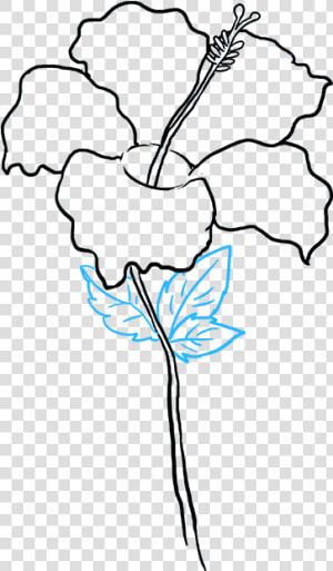 Clip Art Hibiscus Really Easy Drawing   Hibiscus Flower Drawing Easy  HD Png Download