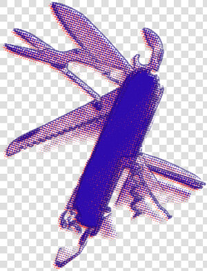 Invertebrate  HD Png Download