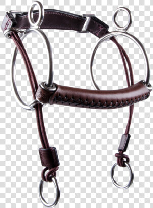 Bridle  HD Png Download