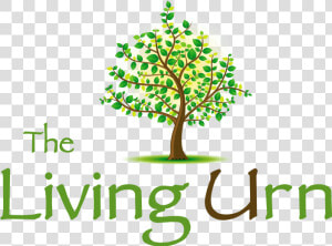 The Living Urn Tree Selection   Living Urn Logo  HD Png Download