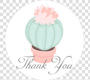 Transparent Succulents Png   Thank You Cards  Png Download