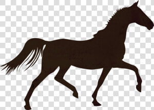 Horse Colt Foal Stallion Mare   Horse Trotting Silhouette  HD Png Download